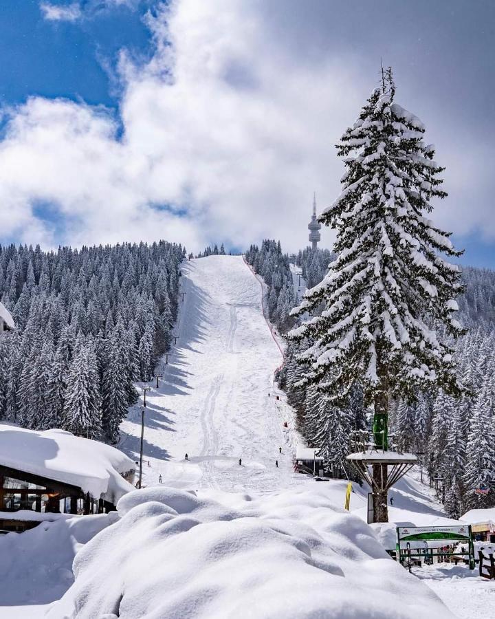 Мезонет Лапландия Pamporovo Exterior photo